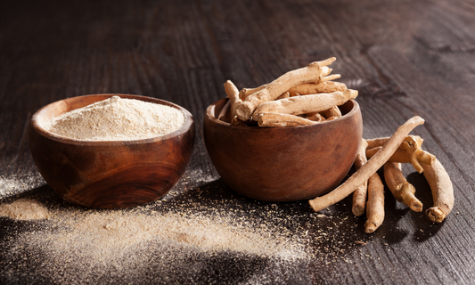 Ashwagandha: Die Kraft der Schlafbeere für mehr Ruhe & Balance